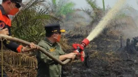 Gubernur Jambi Al Haris saat turun Langsung Padamkan Karhutla di Muaro Jambi.