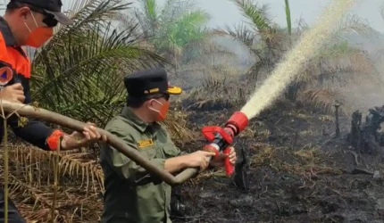 Pemadaman Kebakaran Lahan di Muaro Jambi
