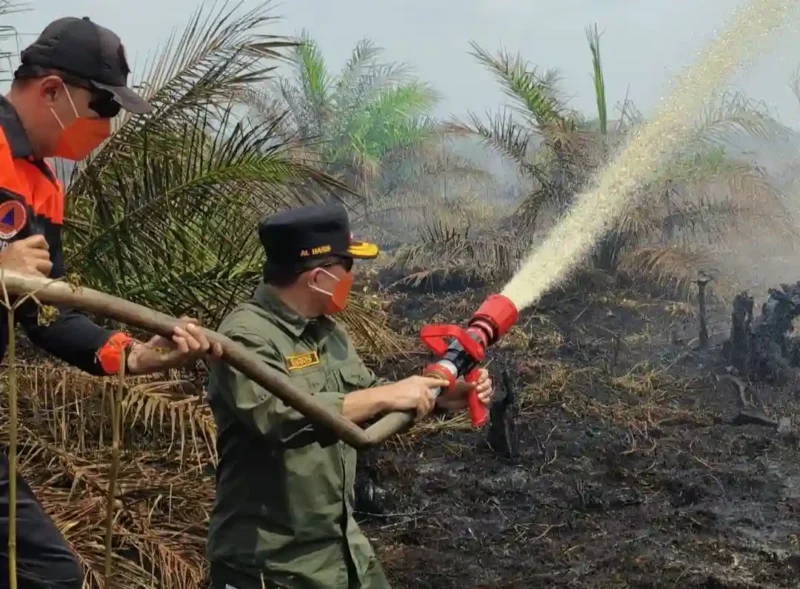 Gubernur Jambi Al Haris saat turun Langsung Padamkan Karhutla di Muaro Jambi.