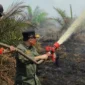 Gubernur Jambi Al Haris saat turun Langsung Padamkan Karhutla di Muaro Jambi.